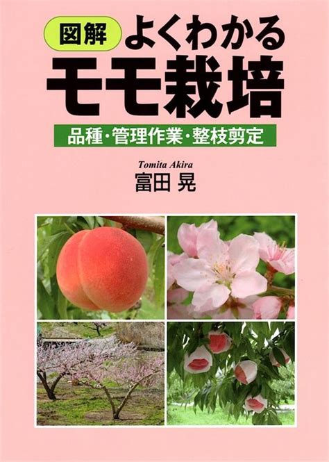 種桃花樹|桃（モモ）栽培ガイド 